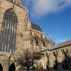 Dom und Domschatz