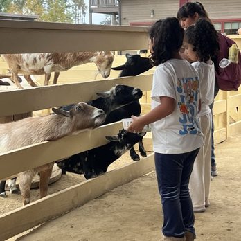 River Street Ranch - Petting Zoos Near Me - San Juan Capistrano, California