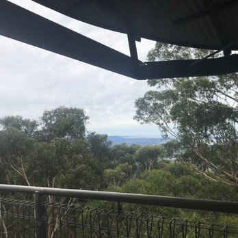 Illawarra Fly Treetop Walk - Travel Services Near Me - Knights Hill, NSW