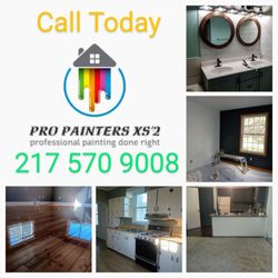 Pro Painters XS2 - Call today