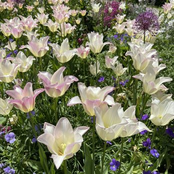 Filoli - Botanical Gardens Near Me - Woodside, California Filoli - Botanical Gardens Near Me - Woodside, California