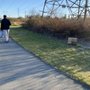 Photo of Hunt Road Park