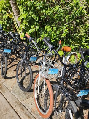 Maui Coast Hotel by null