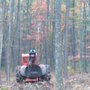 Photo of Keenan Tree Care