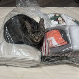 Neatly folded laundry Neatly folded laundry