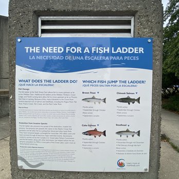 Fish Ladder Park - Parks Near Me - Grand Rapids, Michigan Fish Ladder Park - Parks Near Me - Grand Rapids, Michigan