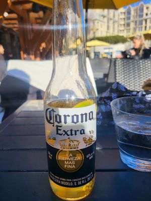 The Longhorn Saloon by null