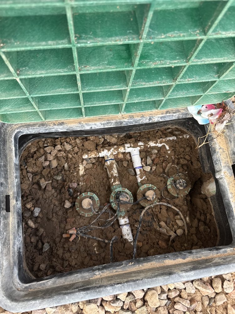 Alberto's Landscaping - tree service in Albuquerque, NM