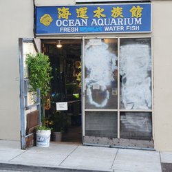 Ocean Aquarium - 120 Cedar St (photo taken Feb 2023)