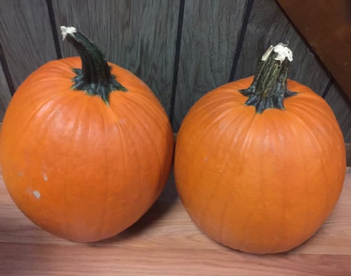 Springdale Farm Market by null