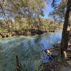 Wawa - Ginnie Springs