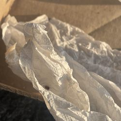 Roma Pizza - This was the first one we saw & killed assuming it was from the car until we seen a bunch more in the holes of the box.