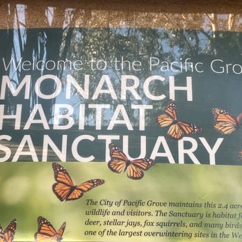 Monarch Grove Sanctuary - Parks Near Me - Pacific Grove, California Monarch Grove Sanctuary - Parks Near Me - Pacific Grove, California