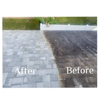 Photo of Reliant Roof cleaning & Pressure washing  - Tampa, FL, US. Roof cleaning (soft wash) before and after