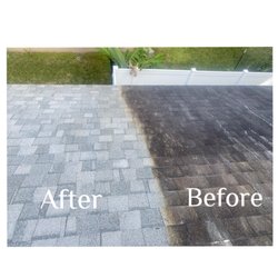 Reliant Roof Cleaning & Pressure Washing - Roof cleaning (soft wash) before and after