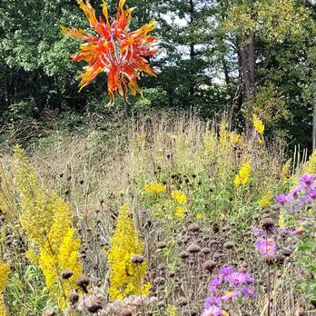 Dow Gardens - Botanical Gardens Near Me - Midland, Michigan
