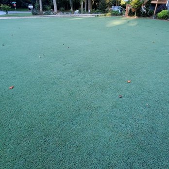 Legacy Turf Farms - Lawn Services Near Me - Cartersville, Georgia
