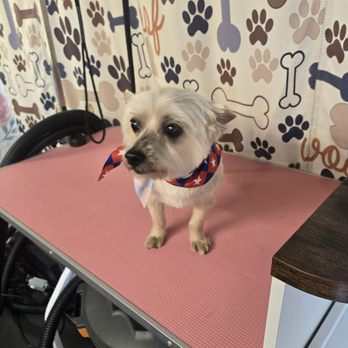 Happy Pet Express - Pet Groomers Near Me Happy Pet Express - Pet Groomers Near Me