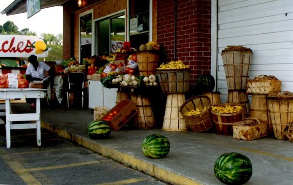 Savannah State Farmers Market by null