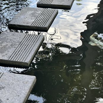 Creative Ponds and Gardens - Floating stones set on cinder blocks - Landscaping Near Me Creative Ponds and Gardens - Floating stones set on cinder blocks - Landscaping Near Me