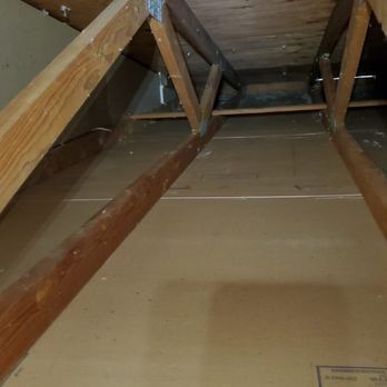 Attical Insulation and Rodents - Insulation Installation Near Me Attical Insulation and Rodents - Insulation Installation Near Me