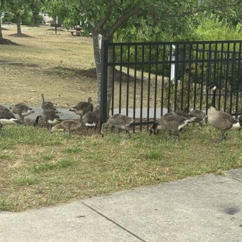 Eggspectation - Gambrills - These loving friends were outside of the restaurant - Breakfast & Brunch Near Me - Gambrills, Maryland