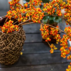 Atelier Lavarenne - ATELIER LAVARENNE LYON -tendances d'automne