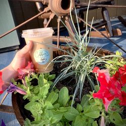 Coffee Cantina - Iced Be My Huckleberry!