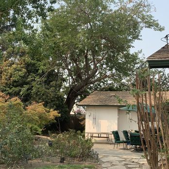 Adolph's A-1 Tree Service A Partnership - After - Tree Services Near Me - Fresno, California