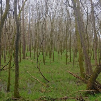 Hidden Lake State Park - Parks Near Me - Nashville, Tennessee