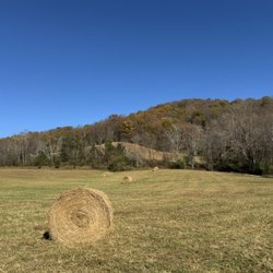 Fortunes Cove Preserve