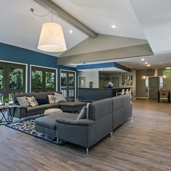 The Falls at Arden by Demmon Communities - Community Clubroom