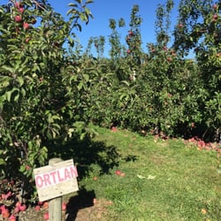 Fix Bros Fruit Farm