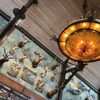 Bass Pro Shops - Epic ceiling in store entryway - Outdoor Gear Near Me - Dania, Florida