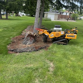 Root Wrecker - Tree Services Near Me - Washington, Pennsylvania Root Wrecker - Tree Services Near Me - Washington, Pennsylvania
