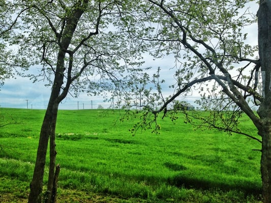 Bluegrass Scenic Railroad and Museum by null