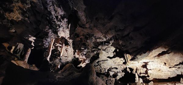 Oregon Caves National Monument & Preserve by null