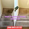 Carpet & Upholstery Cleaning Kawkab gift card