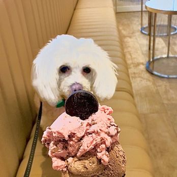 Venchi - Gelato Near Me - San Diego, California