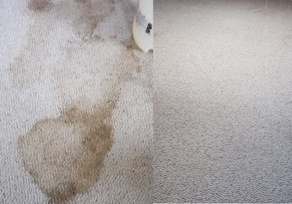 Groves Cleaning Services / Janitor's Closet by null