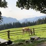 Photo of Bäckeralm
