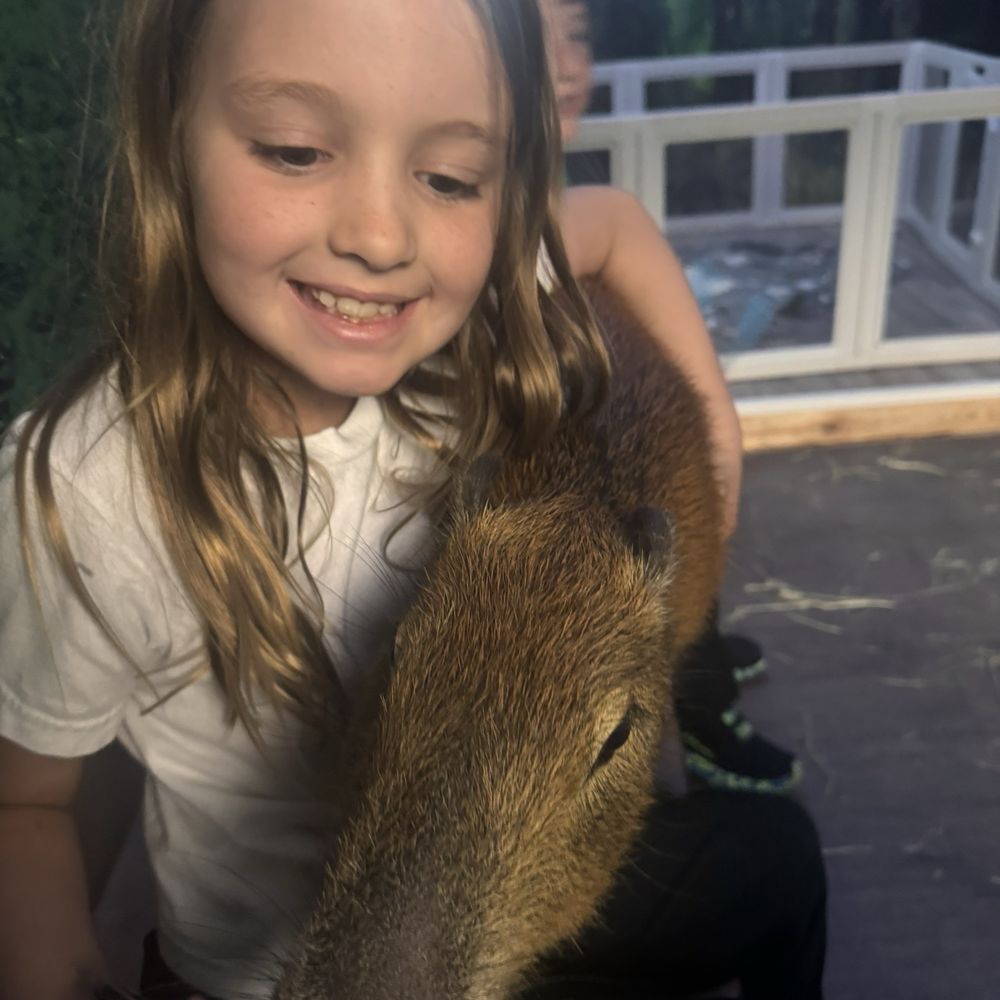 The Capybara Cafe - Themed Cafes Near Me - St. Augustine, Florida The Capybara Cafe - Themed Cafes Near Me - St. Augustine, Florida