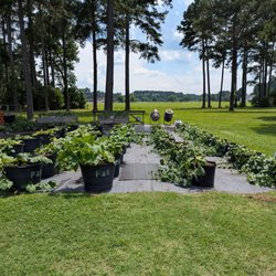 Arboretum