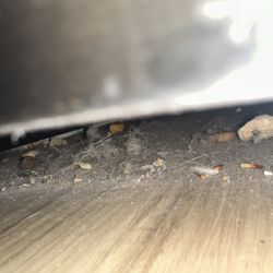 Capital Property Management - Condition of unit upon move in