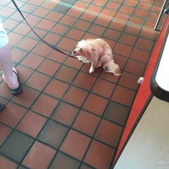 Del Taco - Del Doggo. - Mexican Near Me - Dana Point, California Del Taco - Del Doggo. - Mexican Near Me - Dana Point, California
