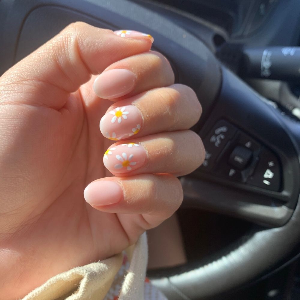 Daisys Daisys