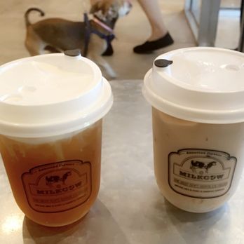Sweet Cow Cafe - Ice Cream & Frozen Yogurt Near Me - Pasadena, California Sweet Cow Cafe - Ice Cream & Frozen Yogurt Near Me - Pasadena, California