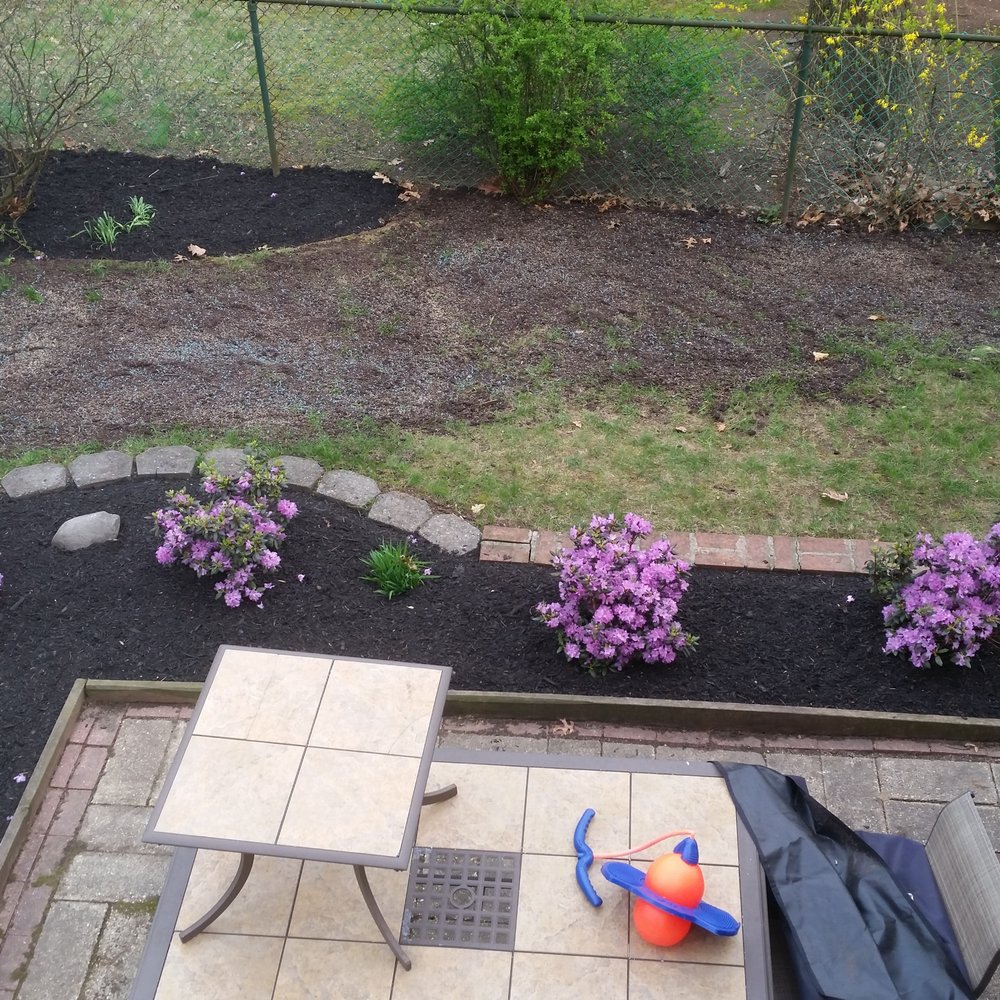 Miz's Landscaping - a view of a backyard with flowers - Landscaping Near Me Miz's Landscaping - a view of a backyard with flowers - Landscaping Near Me