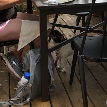 Good Kitchen + Market - Dog friendly patio. How cute?! but doesn't look like they provide water bowls, tho. - Coffee & Tea Near Me - Marietta, Georgia Good Kitchen + Market - Dog friendly patio. How cute?! but doesn't look like they provide water bowls, tho. - Coffee & Tea Near Me - Marietta, Georgia