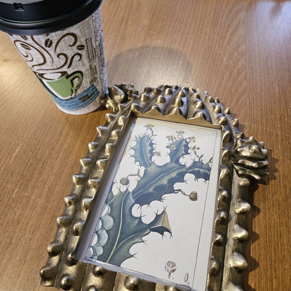 Awa Kava & Coffee - they sell art here and i couldn't leave without this!! - Coffee & Tea Near Me - Flagstaff, Arizona Awa Kava & Coffee - they sell art here and i couldn't leave without this!! - Coffee & Tea Near Me - Flagstaff, Arizona